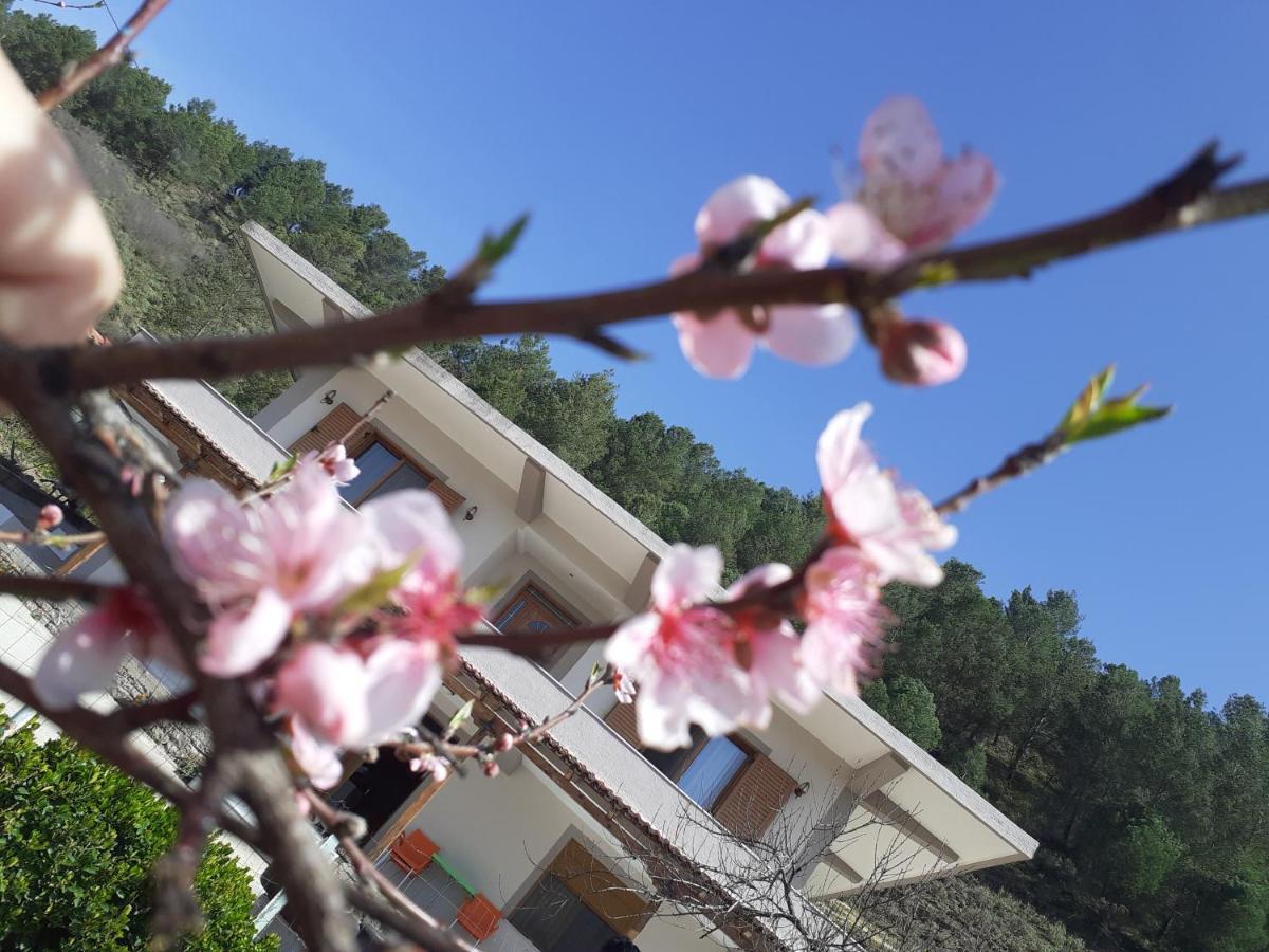 Kanushi House Gjirokastër Eksteriør bilde