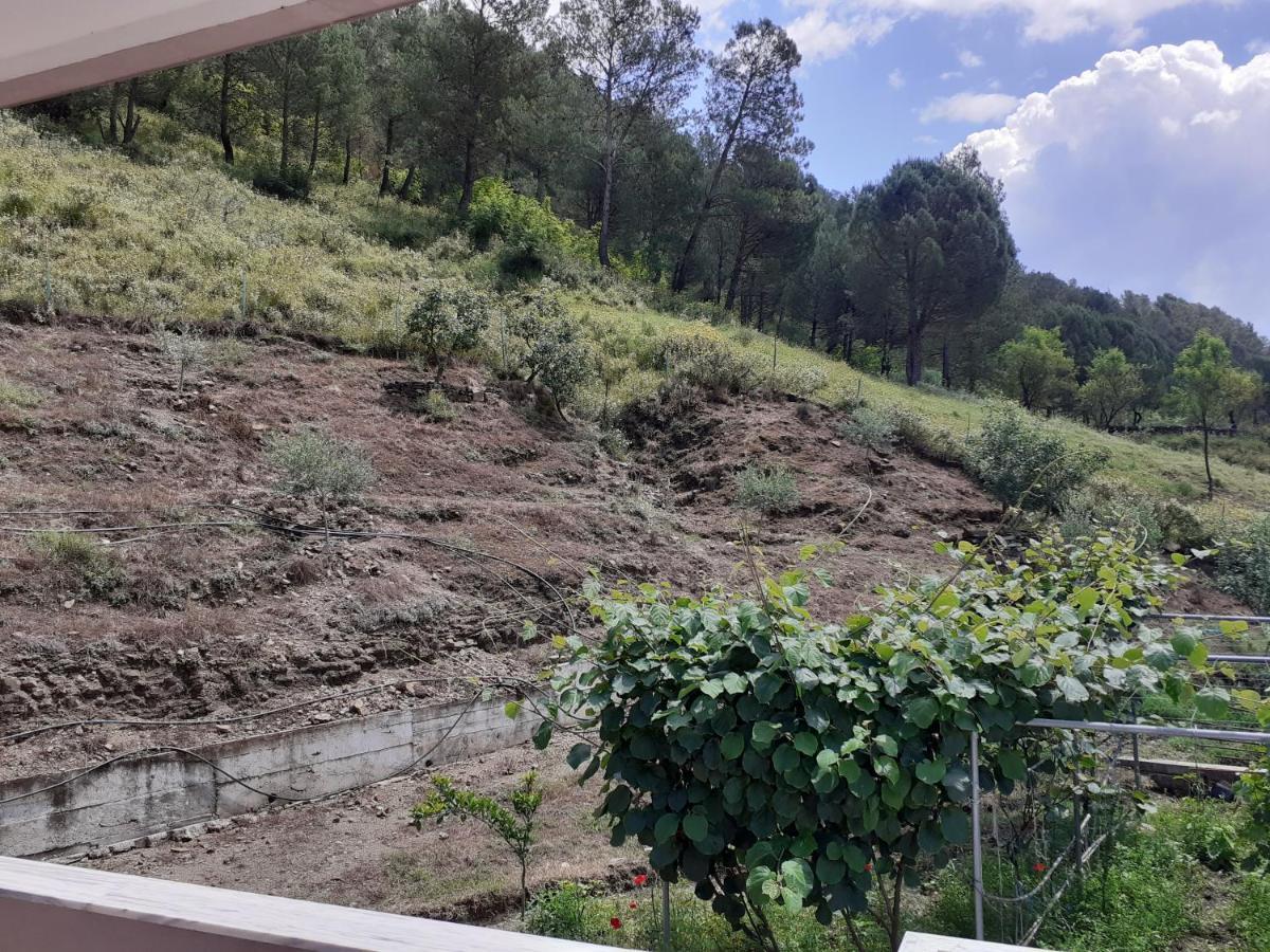Kanushi House Gjirokastër Eksteriør bilde